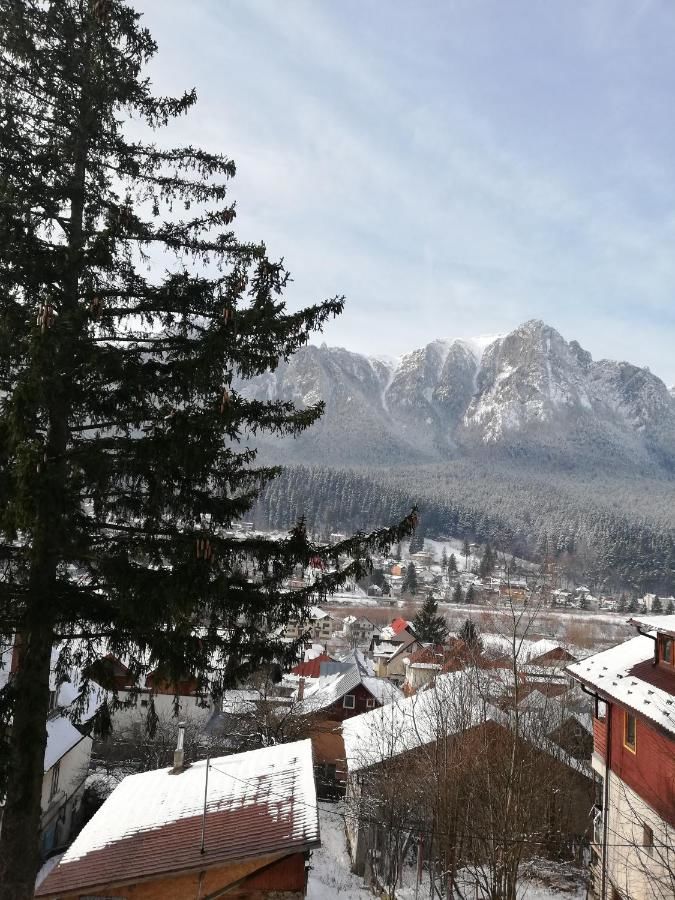 Виллы Zamora Green House Буштени-13