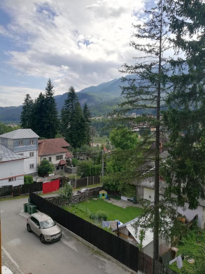 Виллы Zamora Green House Буштени-16