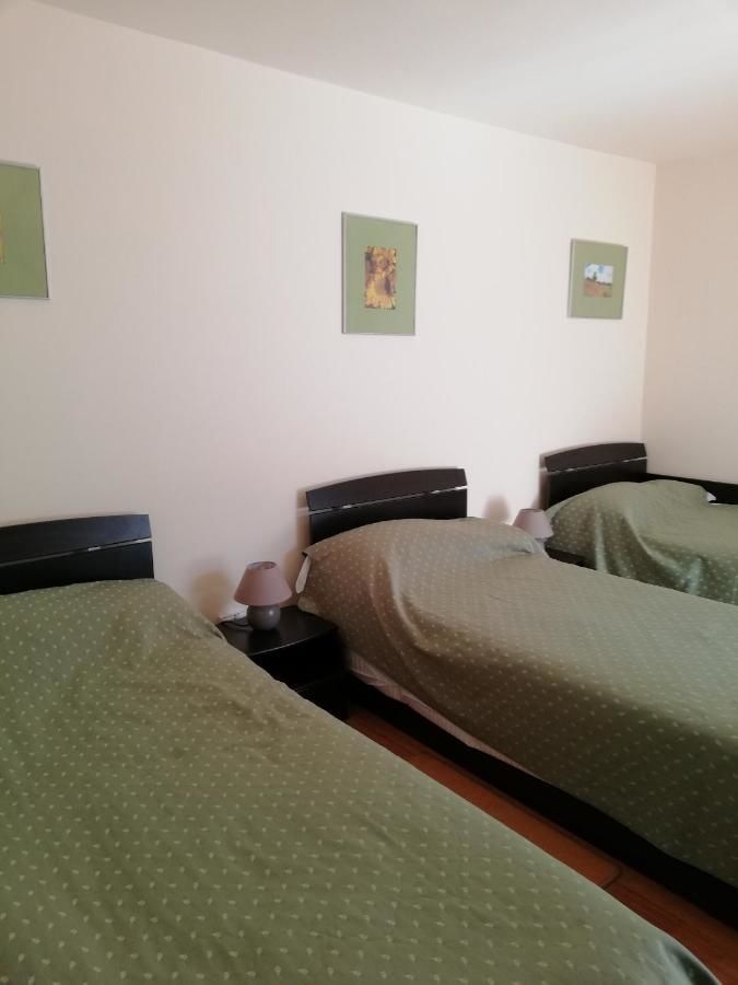 Виллы Zamora Green House Буштени-26