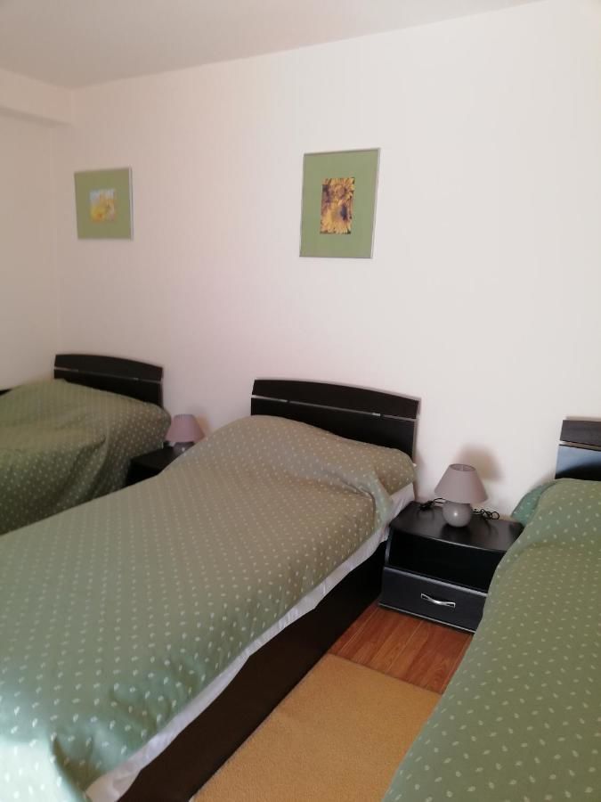 Виллы Zamora Green House Буштени-31