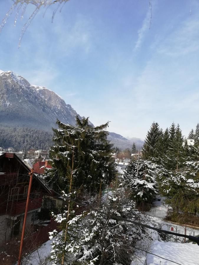 Виллы Zamora Green House Буштени-11