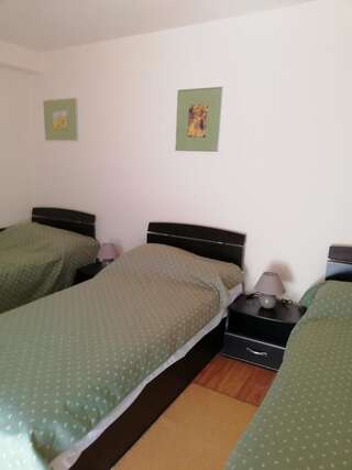 Виллы Zamora Green House Буштени Трехместный номер с видом на горы-4