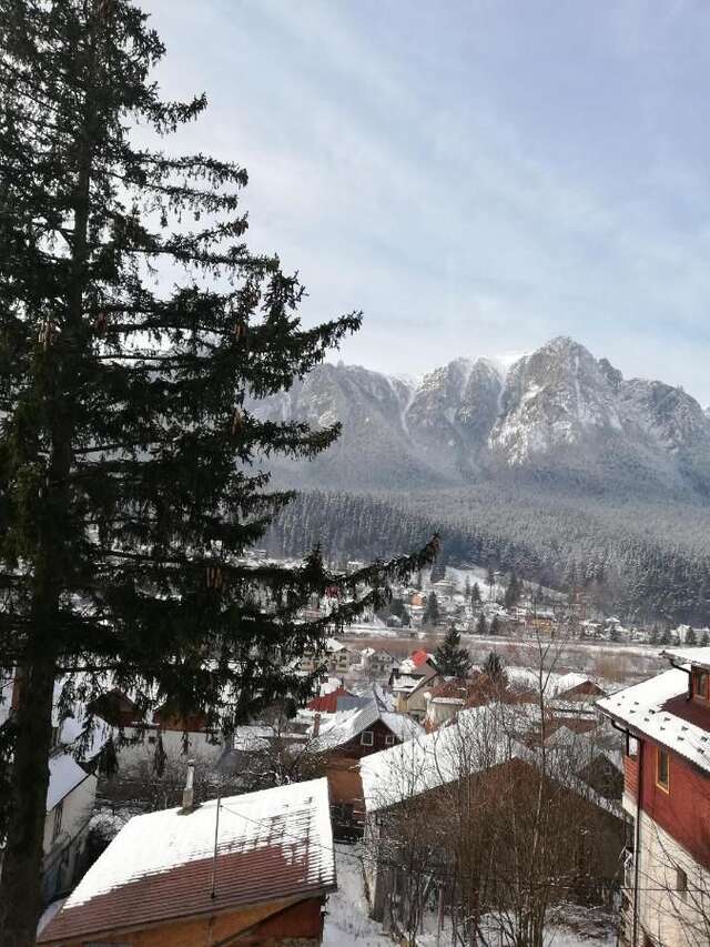 Виллы Zamora Green House Буштени-12