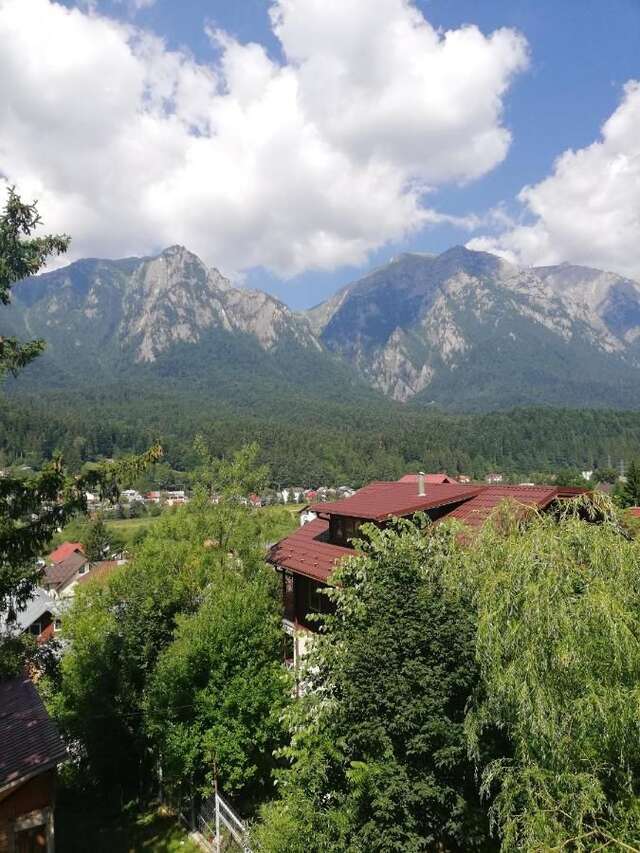 Виллы Zamora Green House Буштени-14