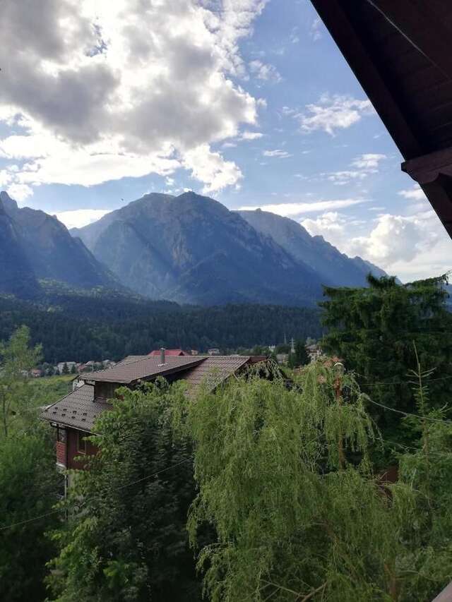 Виллы Zamora Green House Буштени-21