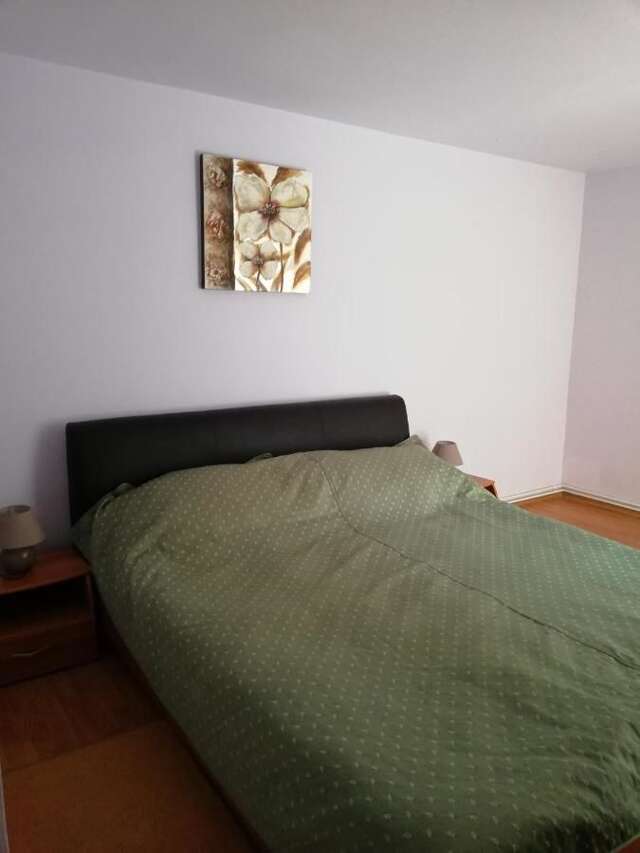 Виллы Zamora Green House Буштени-27