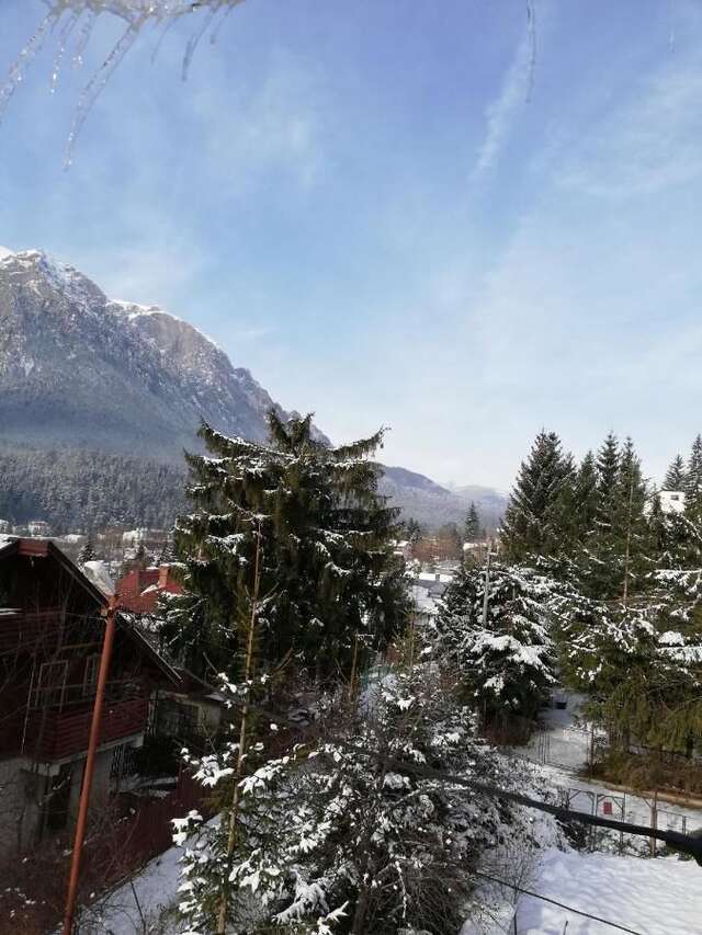 Виллы Zamora Green House Буштени-10