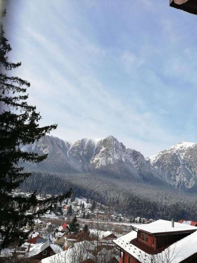 Виллы Zamora Green House Буштени-11